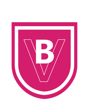  BV 